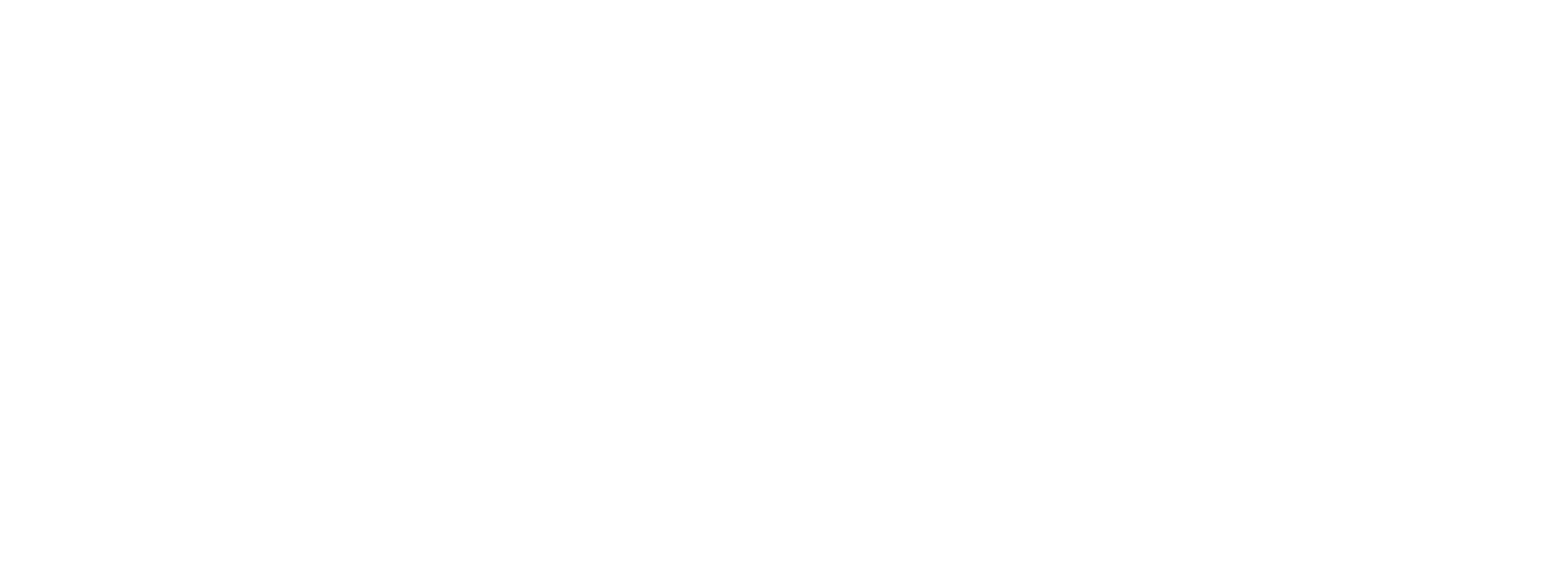 BMS White Logo